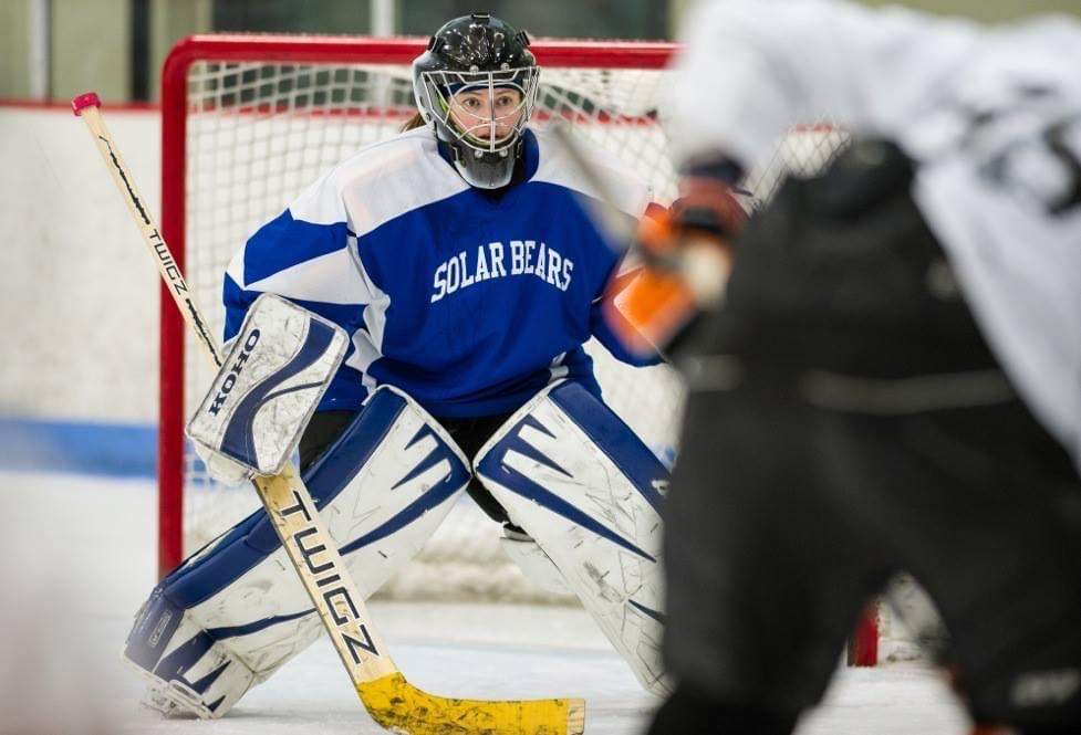 Solar-Bears